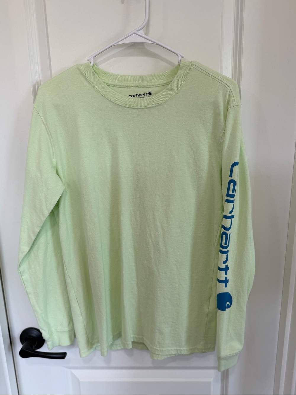 Carhartt Light Green Long-Sleeve Tee with Blue Sleeve Logo